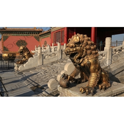 Guardian Lion Statues in front of the Gate of Heavenly Purity (Qianqing Men) in the Forbidden City in Beijing