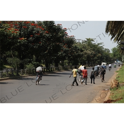 Road Leading from Lake Tana to the Blue Nile Falls