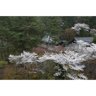 Grounds of Nanzen-ji in Kyoto