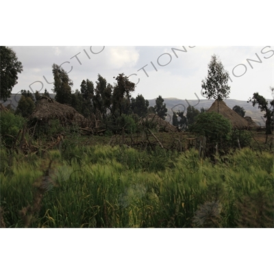 Small Village in Simien Mountains National Park