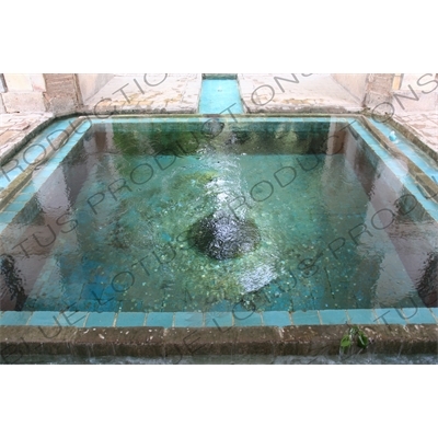 Pool in the Bagh-e Fin Garden in Kashan