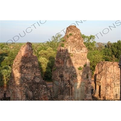 Jungle around Pre Rup in Angkor Archaeological Park