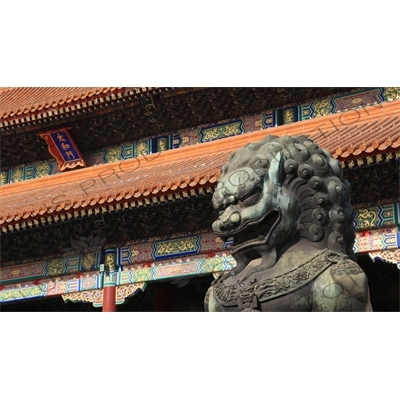 Guardian Lion in front of the Gate of Supreme Harmony (Taihe Men) in the Forbidden City in Beijing