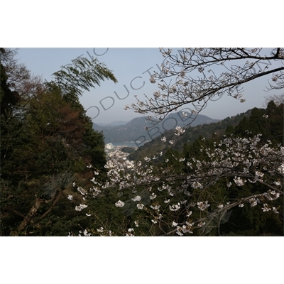 Kinosaki Onsen from the top of Mount Daishi