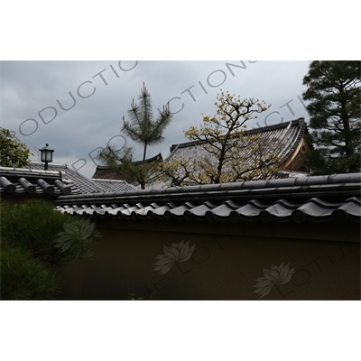 Building Roofs in the Daitoku-ji complex in Kyoto