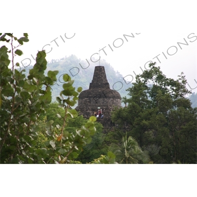 Top of Borobudur