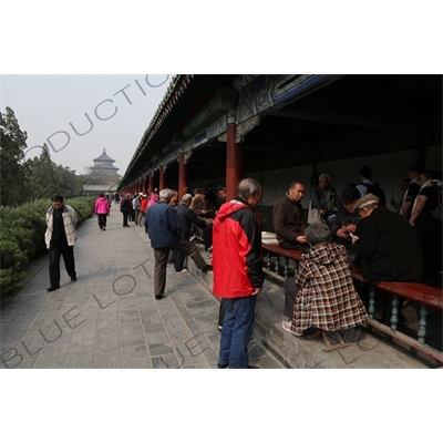 People Playing Various Games in the Long Corridor (Chang Lang) in the Temple of Heaven (Tiantan) in Beijing