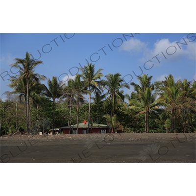 House on a Beach in Nosara