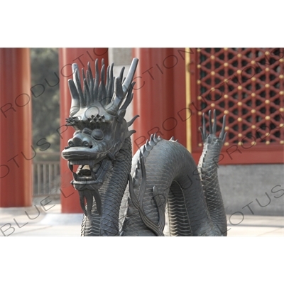 Bronze Dragon Statue outside the Hall of Benevolence and Longevity (Renshoudian) in the Summer Palace in Beijing