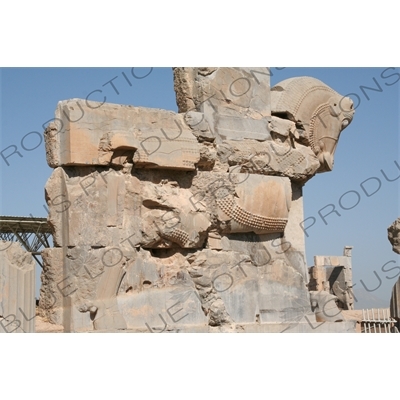 Throne Hall/Hall of 100 Columns at Persepolis