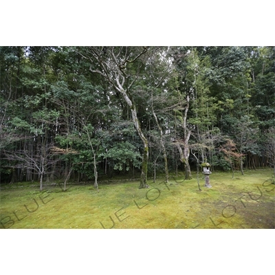 Garden in Koto-in in Daitoku-ji in Kyoto