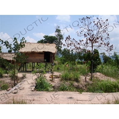 Stilt House in Angkor