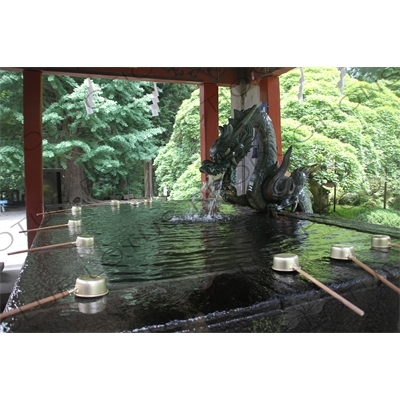 Water Purification Basin (Chozubachi) in Fujiyoshida Sengen Shrine in Fujiyoshida