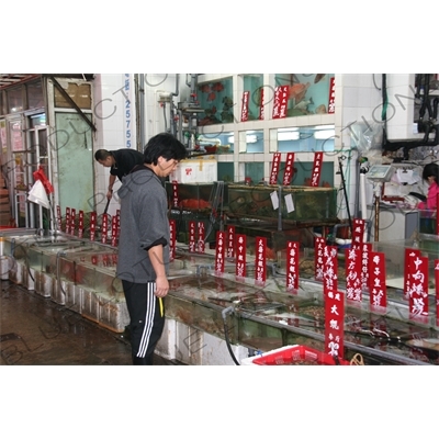 Fish Stall at a Market in Hong Kong