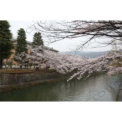 Lake Biwa Canal in Kyoto