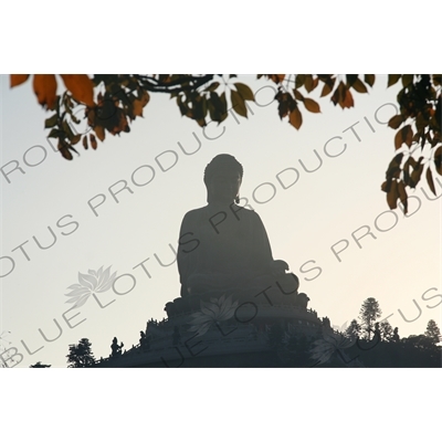 Big Buddha (Tiantan Da Fo) Statue on Lantau in Hong Kong