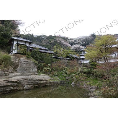 Pond and Temple Buildings in Engaku-ji in Kamakura