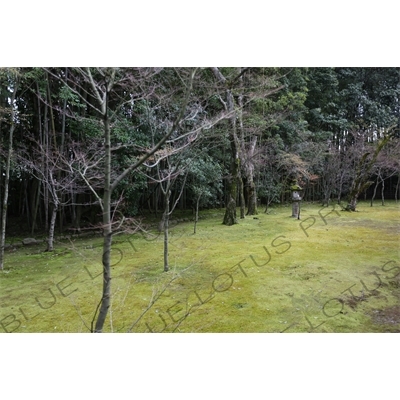 Garden in Koto-in in Daitoku-ji in Kyoto