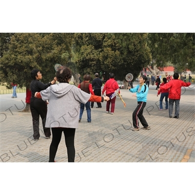 People Practising Taiji Bailong Ball/Taiji Rouli Qiu near the North Gate of the Temple of Heaven (Tiantan) in Beijing