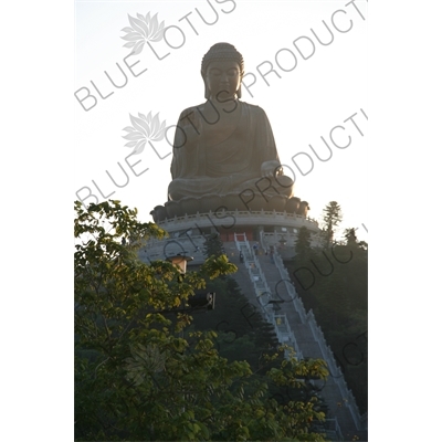 Big Buddha (Tiantan Da Fo) Statue on Lantau in Hong Kong