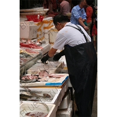 Fishmonger at a Street Market in Hong Kong