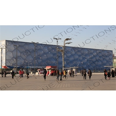 Kites Flying in front of the Beijing National Aquatics Centre/Water Cube (Guojia Youyong Zhongxin/Shuili Fang) in the Olympic Park in Beijing