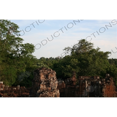 Jungle around East Mebon in Angkor Archaeological Park