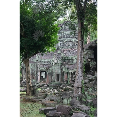 Ta Prohm in Angkor