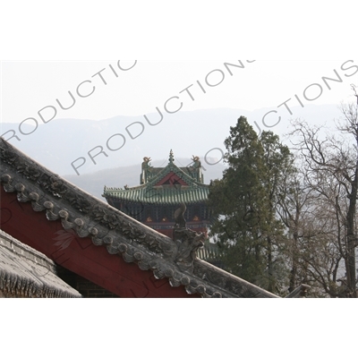 Roof Carving with Drum Tower in the Background at the Shaolin Temple in Dengfeng