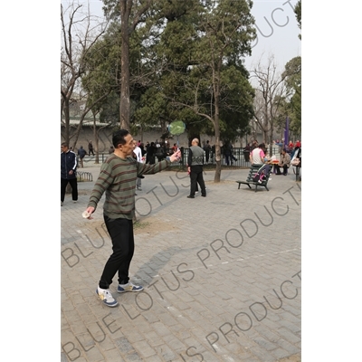 Man Playing Badminton near the North Gate of the Temple of Heaven (Tiantan) in Beijing