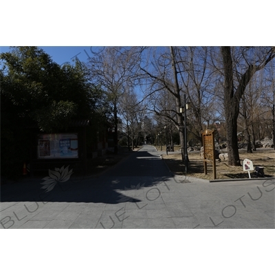 Path in the Temple of the Sun Park (Ritan Gongyuan) in Beijing