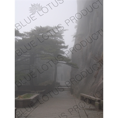 Path on Yellow Mountain (Huang Shan) in Anhui Province