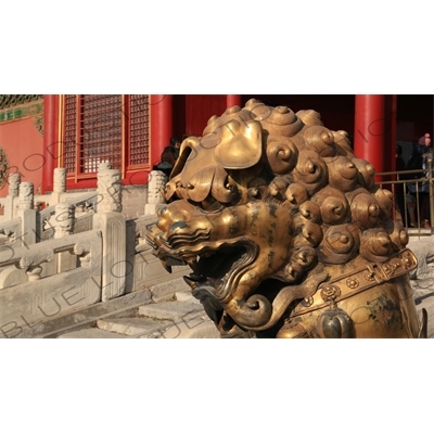 Guardian Lion Statue in front of the Gate of Heavenly Purity (Qianqing Men) in the Forbidden City in Beijing