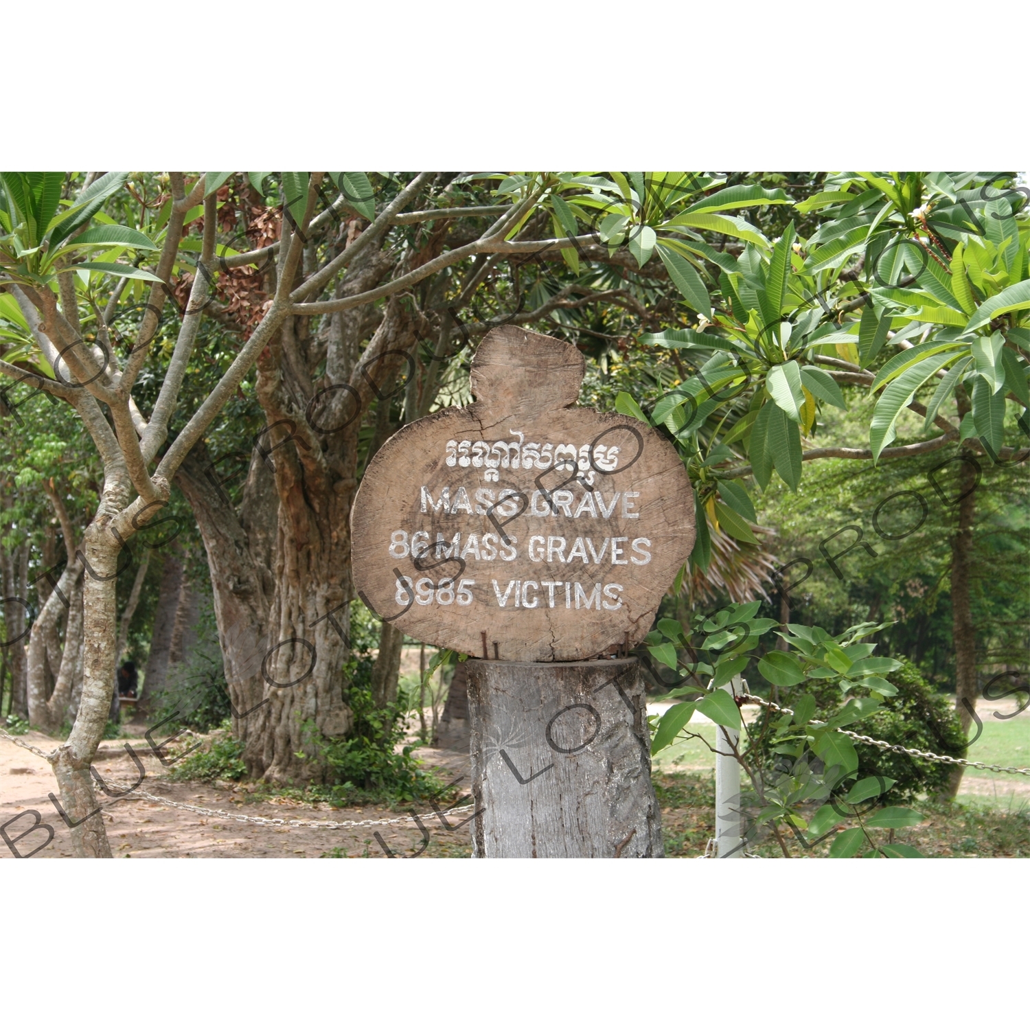 Sign Describing a Mass Grave at the Choeung Ek Killing Fields near Phnom Penh