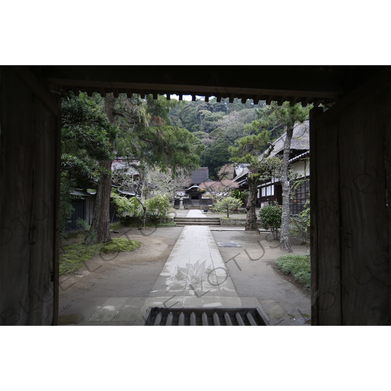 Shariden Hall and Garden in Engaku-ji in Kamakura