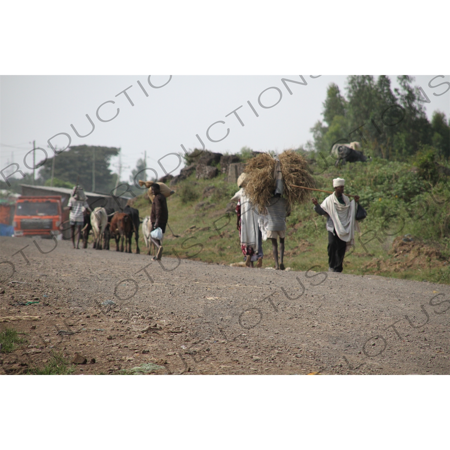 Road Leading to the Blue Nile Falls