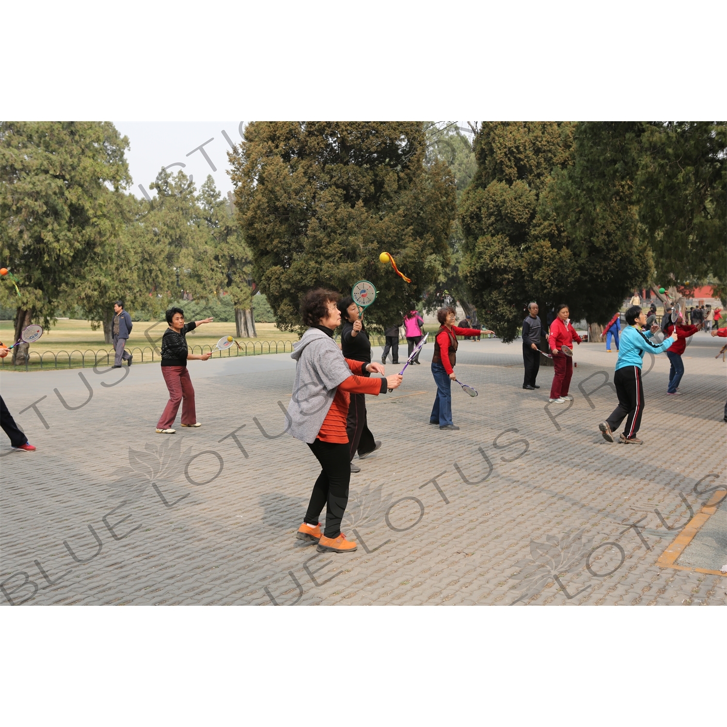 People Practising Taiji Bailong Ball/Taiji Rouli Qiu near the North Gate of the Temple of Heaven (Tiantan) in Beijing