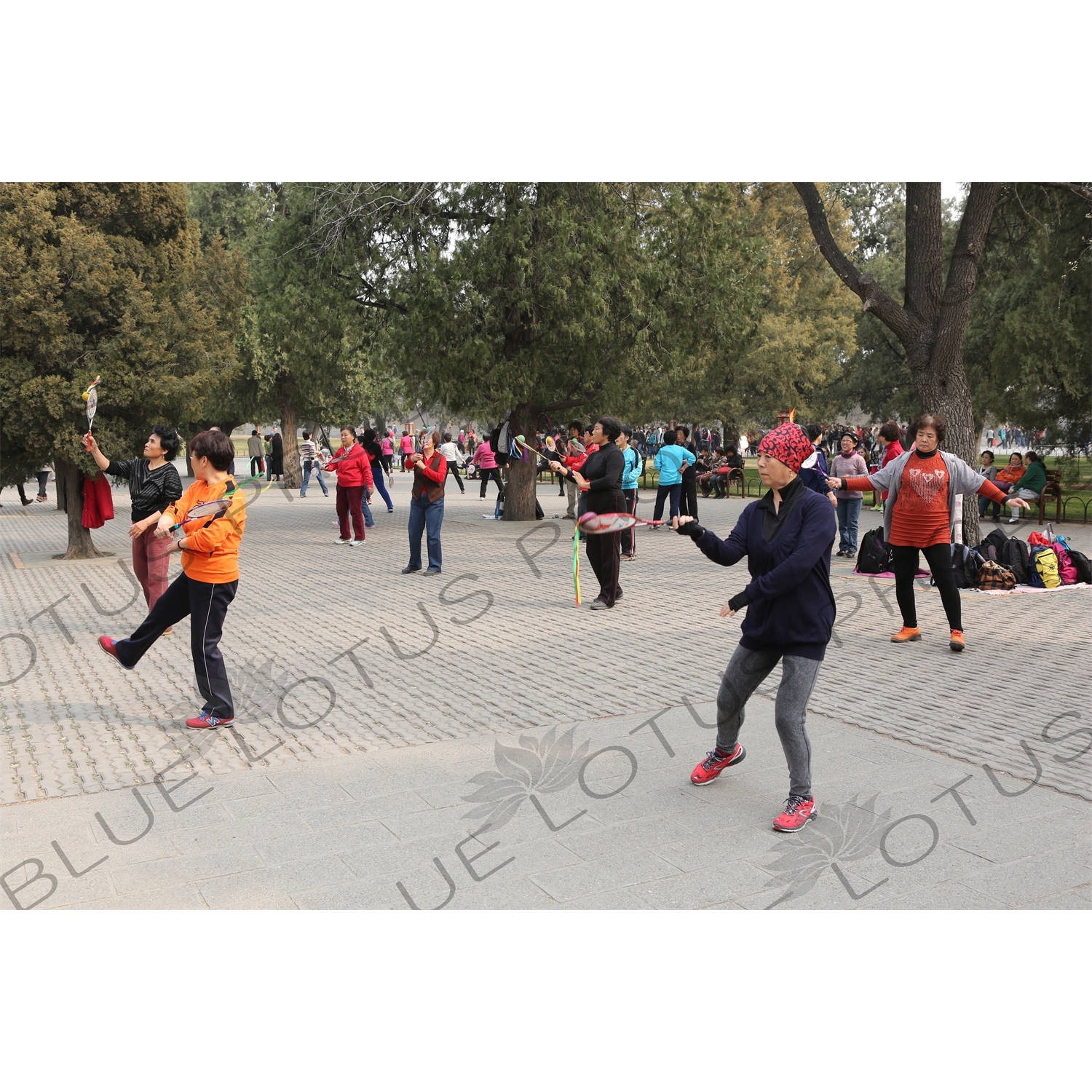 People Practising Taiji Bailong Ball/Taiji Rouli Qiu near the North Gate of the Temple of Heaven (Tiantan) in Beijing