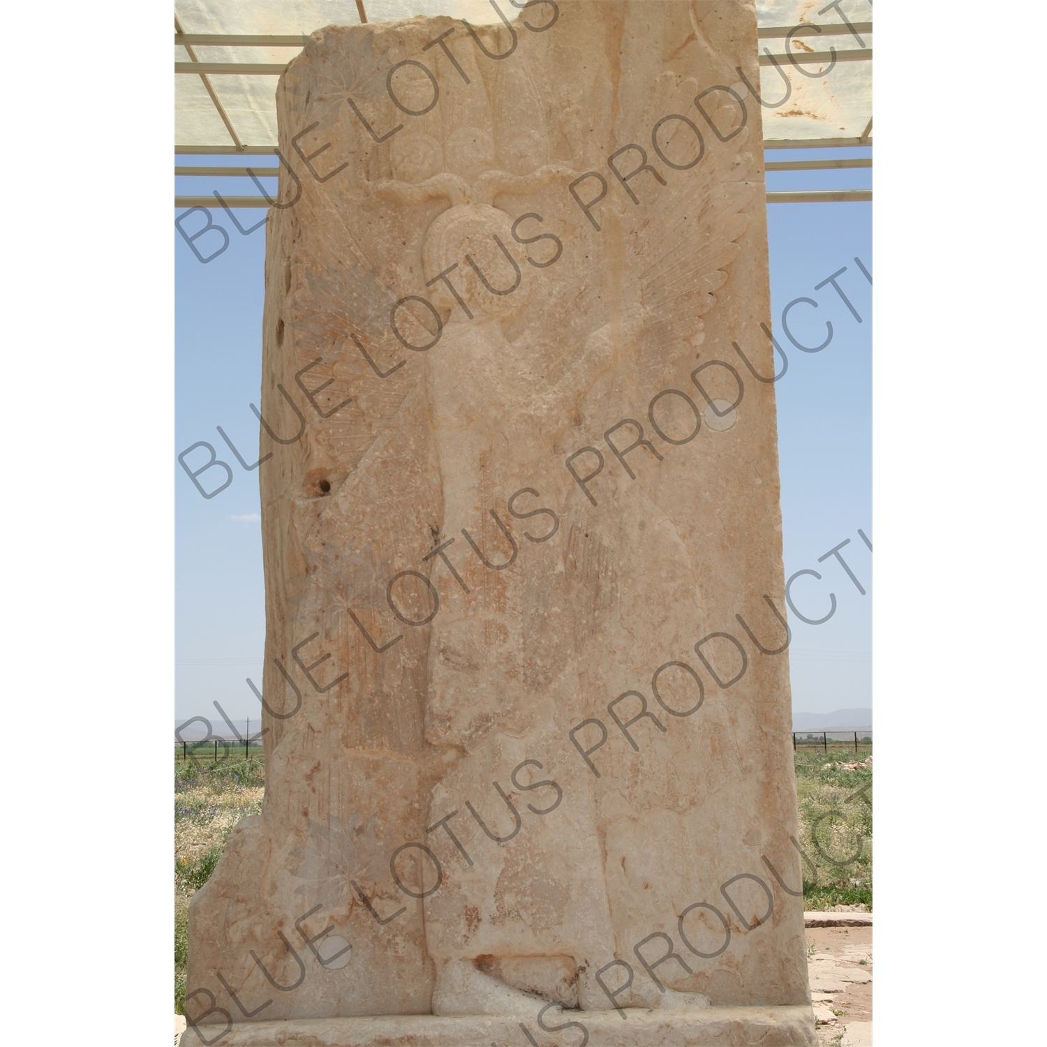 Four Winged Guardian Depiction of Cyrus the Great at Pasargadae