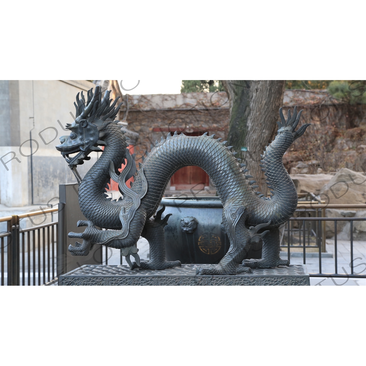 Dragon Statue outside the Hall of Benevolence and Longevity (Renshoudian) in the Summer Palace in Beijing