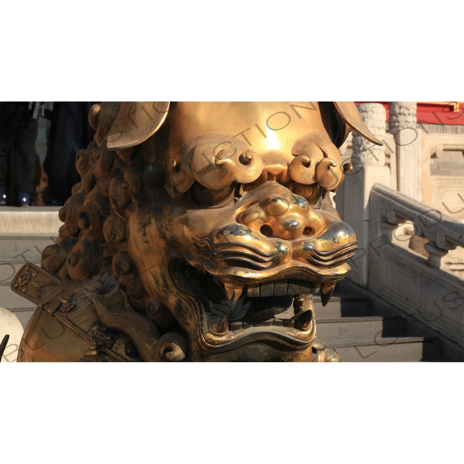 Guardian Lion Statue in front of the Gate of Heavenly Purity (Qianqing Men) in the Forbidden City in Beijing