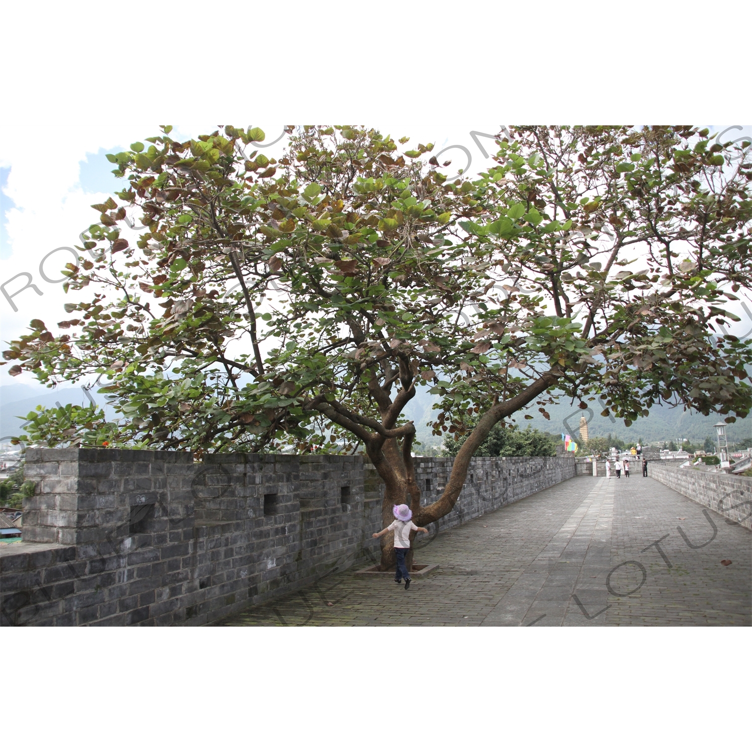 Old City wall in Dali