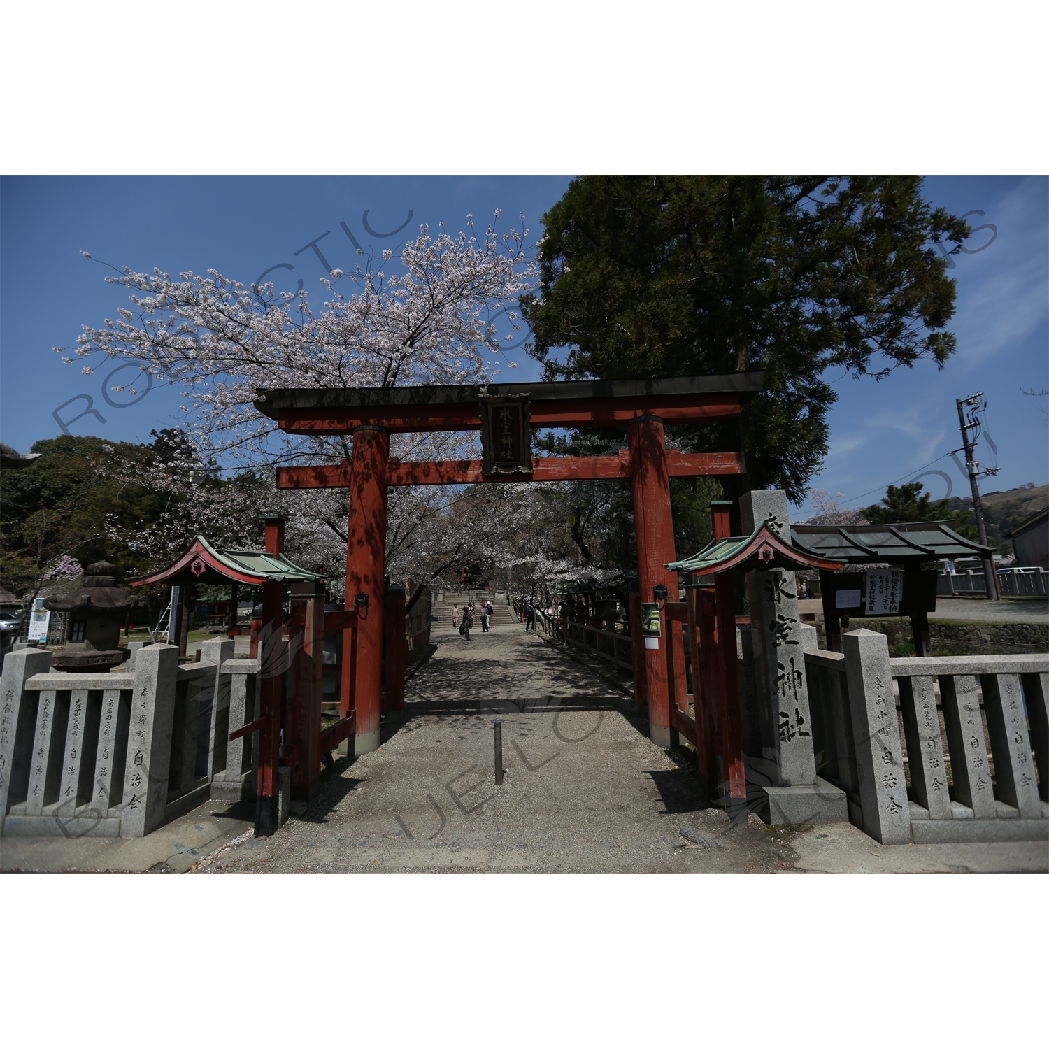 Torii of Himuro Jinja in Nara