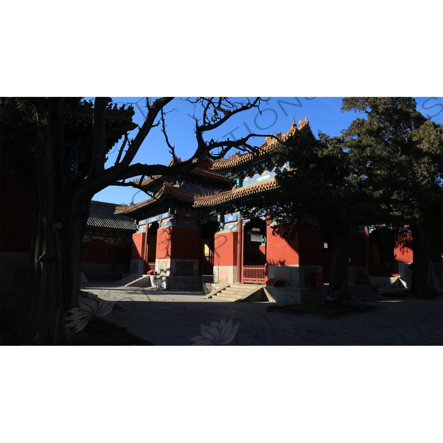 Stone Tablet Housing Pavilions (Beiting) in the Confucius Temple in Beijing