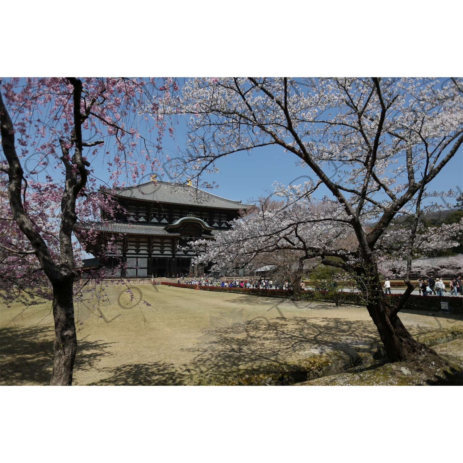 Big Buddha Hall (Daibutsuden) of Todaiji in Nara