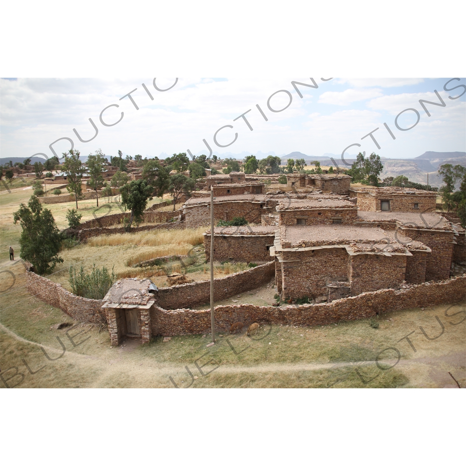 Monastery Buildings at Debre Damo