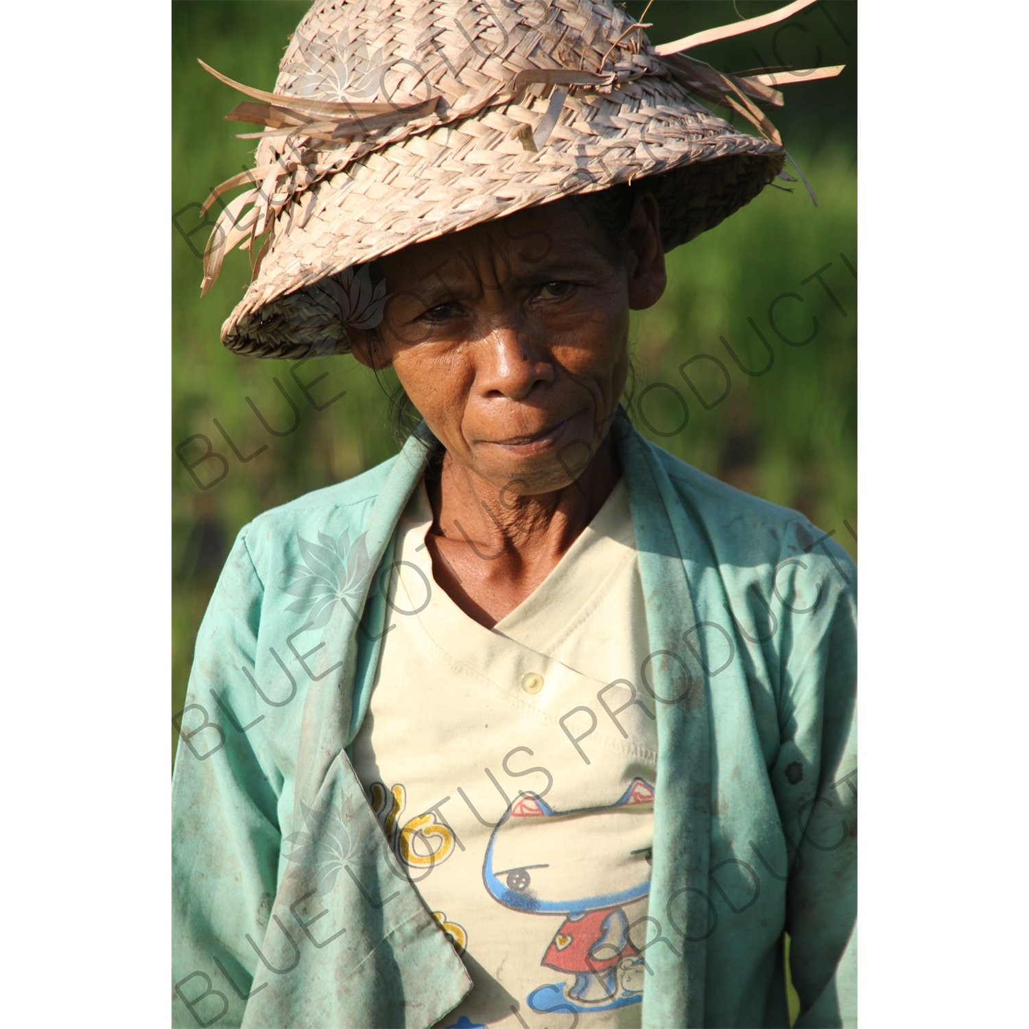 Farmer in a Paddy Field in Bali