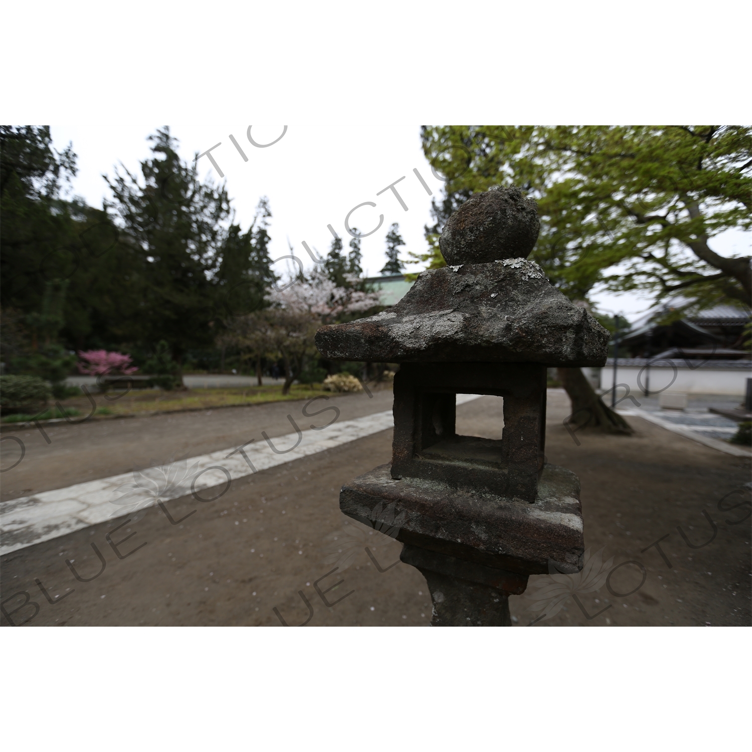 Stone Lantern (Toro) in Engaku-ji in Kamakura