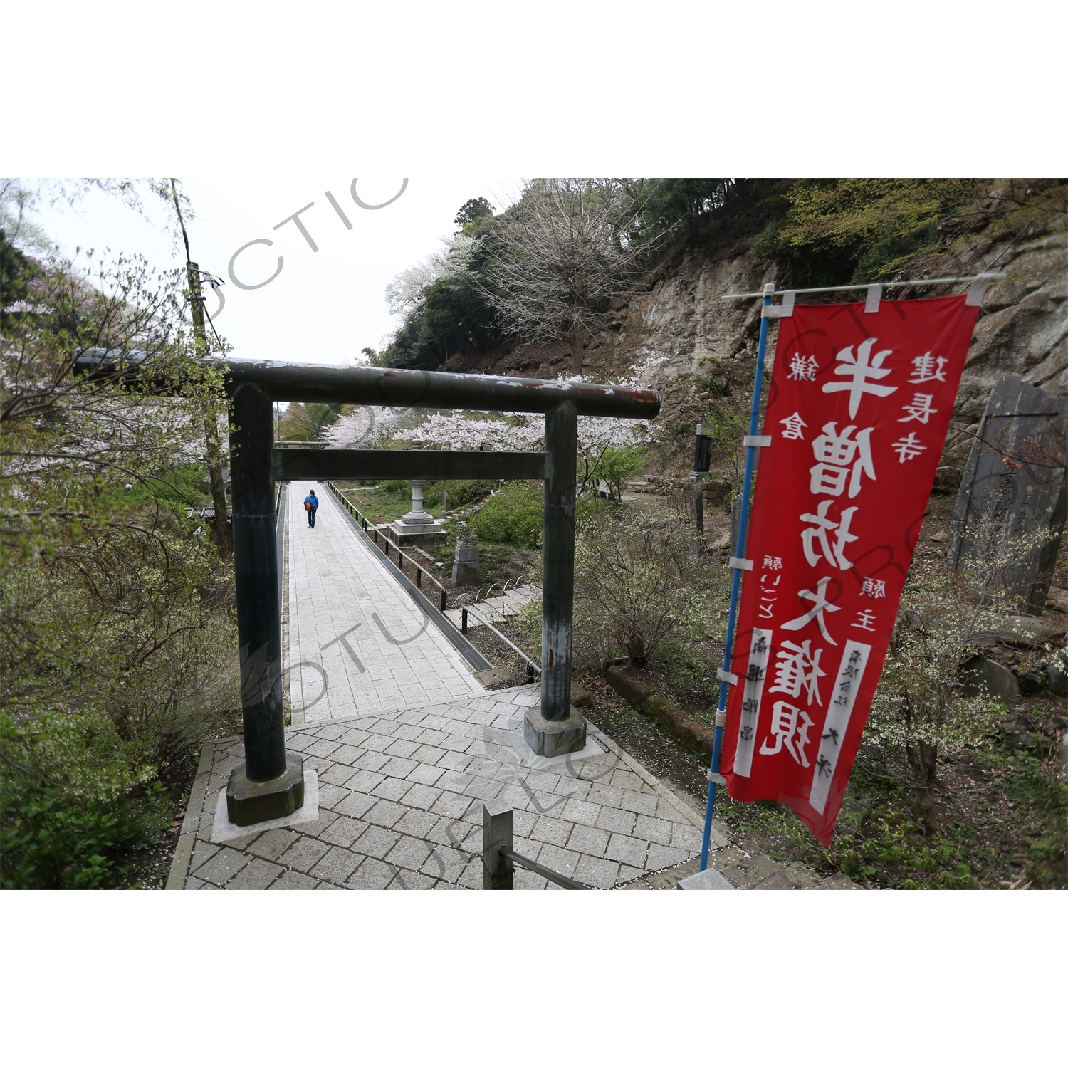 Torii on the way to Hansobo above Kencho-ji in Kamakura