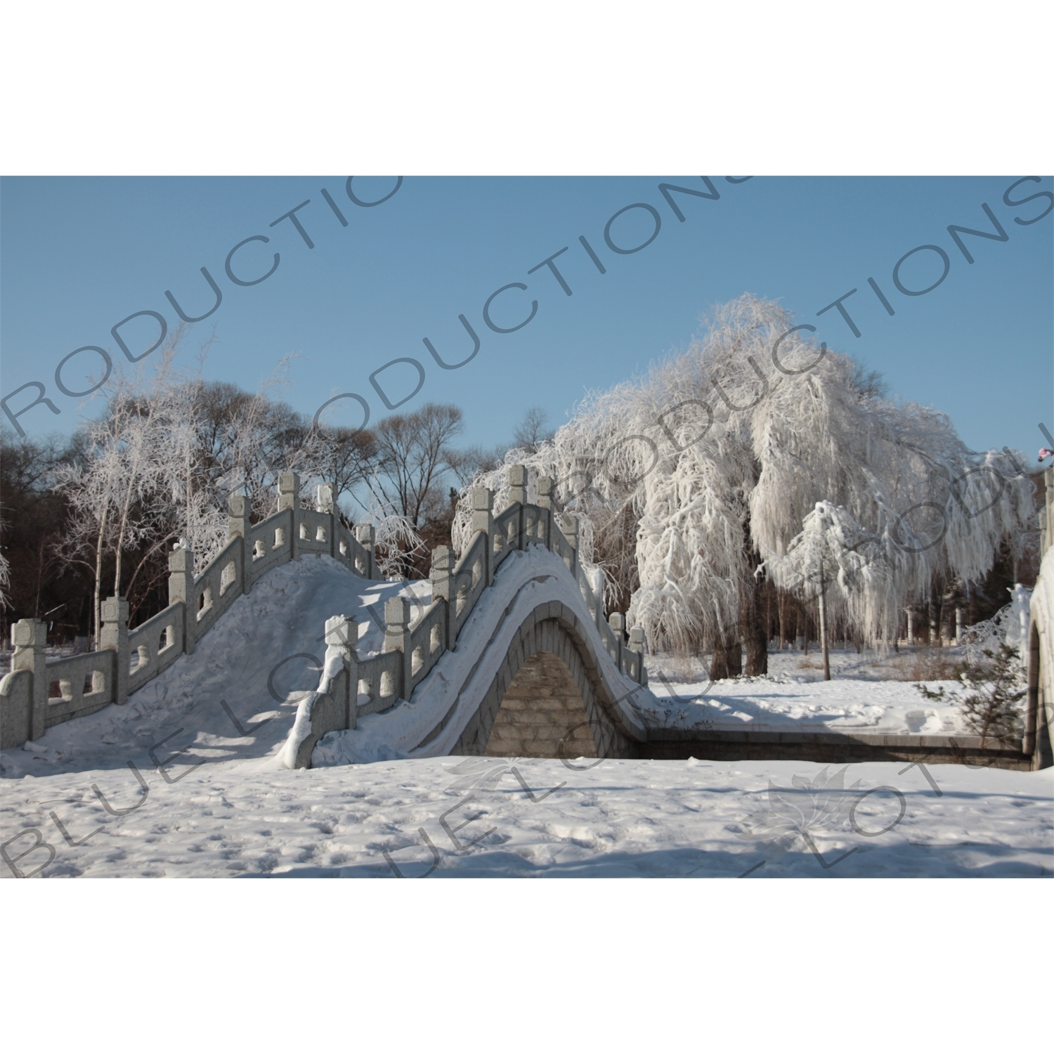 Chinese Style Arched Bridge in the Sun Island Scenic Area (Taiyang Dao) in Harbin